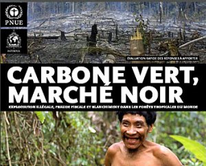 Rapport-Carbone-Vert-Marche-noir-LLPAA